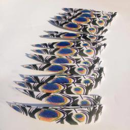 Pena de pavão para arco e flecha, escudo para arco e caça 20 peças - Image 3