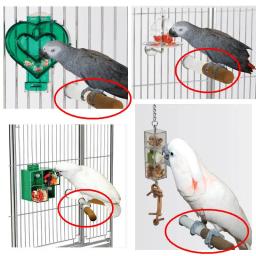 CAITEC-Empoleirado Stick Prego Grooming Stand para Papagaios, se Adapta a Qualquer Tipo de Gaiolas, Adequado para Pequenas e Grandes Aves - Image 2
