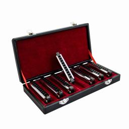 Cisne-gaita de blues e gaita, conjunto de 7 peças, gaita profissional, com toalhetes caso - Image 3
