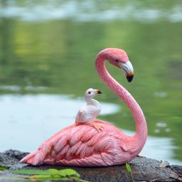 Decoração para casa flamingo rosa bonito de coleção diária, animal, estatueta, jardim de fadas, festa de casamento, ornamento, presentes para amantes de natal - Image 5