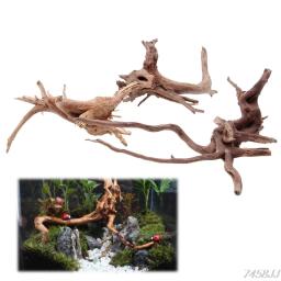 Decoração para aquário, madeira natural, porta-malas, árvore cauda, aquário, planta de peixes, ornamento de toco, decoração smart z03 - Image 3
