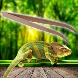 Pinças super réptil longo clipes 28 16.5 tamanho sapo aranha ferramenta areia terrário limpeza alimentação - Image 2