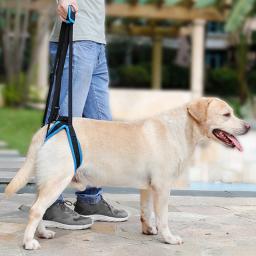 Arnês ajustável para elevação das costas e pés, suporte para animais de estimação, pernas fracas, ferramenta de ajuda para cães idosos - Image 2