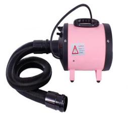 Secador de pelo para animais de estimação, velocidade variável, cs 2400, 2400w, 1 peça - Image 3