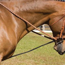 Corda de retenção elástica com fivelas de plástico, suprimentos para cavalo equestre e geral - Image 2