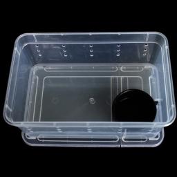 Terrário para répteis transparente caixa de plástico inseto réptil transporte de criação de alimentos vivos caixa de alimentação - Image 5