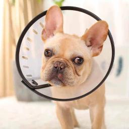 Hoopet-coleira eletrônica de animais de estimação, cão, gato, previne mordida e coleira, capa de pulôver - Image 3