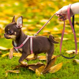 Acessório para pets, peitoral de couro com strass, colete e colete para cachorro e gato pequeno e médio - Image 5