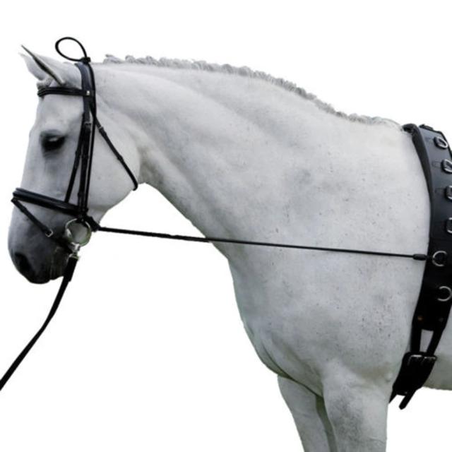 Corda de Retenção Elástica para Cavalos com Fivelas de Plástico - 300cm