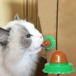 Gato petiscos catnip açúcar doces lambendo nutrição sólida gel bola de energia para gatinho gatos alimentos saudáveis digestão suprimentos para animais de estimação - Image 2