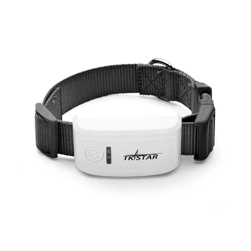 TK-STAR-TK909 GPS Tracker para animais de estimação, alarme SOS para cão e gato, Free Android iOS - Image 1