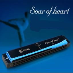 Swan 24 buracos tremolo gaita chave c popular armônica harpa tremolo instrumentos 24 buracos gaita 3 cores para escolher - Image 4