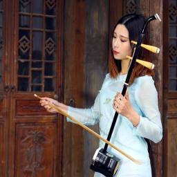 Instrumento de cordas chinês erhu huqin exclusivo gravado código instrumentos chineses folk erhu com rosin cordas sobressalentes arco e livro - Image 2