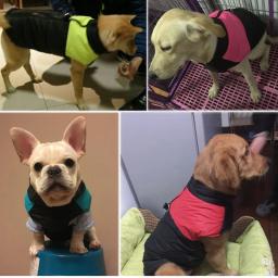 Impermeável colete quente para Pet, roupa do cão, gato, cachorro, casacos de esqui, grandes casacos cão, verde, vermelho, azul, rosa, inverno, 8 tamanhos, S-5XL - Image 6