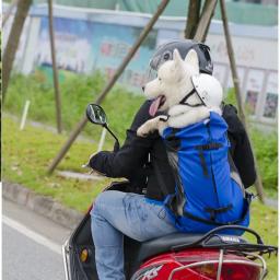 Malha Respirável Pet Dog Carrier, Mochila de Viagem, Ao Ar Livre, Ventilação, Bicicleta, Motocicleta, Esporte, Caminhadas, Transporte da Gota - Image 1
