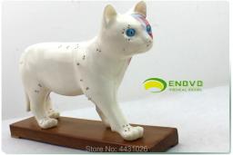 Enovo gato moxibustion modelo veterinário aprender anatomia animal modelo de animal de estimação acupuntura animal - Image 5