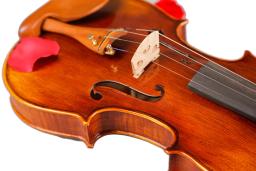 Anjo oito-violino profissional, 4/4, listras naturais, bordo, mestre, artesanato, violino instrumentos de corda com caso de arco - Image 6