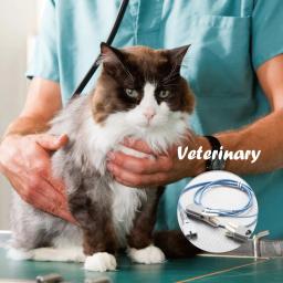 Veterinário handheld pulso oxímetro médico portátil para gatos cães raposas e outros animais de estimação - Image 2