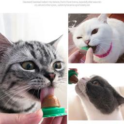 Gato petiscos catnip açúcar doces lambendo nutrição sólida gel bola de energia para gatinho gatos alimentos saudáveis digestão suprimentos para animais de estimação - Image 5