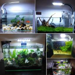 Tanque de Peixes de Aquário LEVOU Luz Clip-on 5 W/10 W/15 W LEVOU As Plantas Crescem Luzes aquáticos de Água Doce Do Aquário Lâmpadas À Prova D' Água 220 V Plugue DA UE - Image 6
