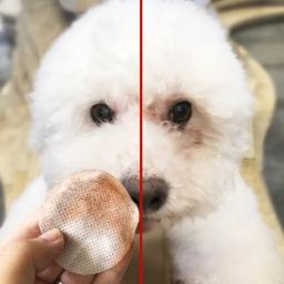 100 Animais de Estimação Cães Gatos Pçs/set Olhos Lenços Umedecidos De Limpeza Toalhas De Papel Wipes Removedor de Mancha Lágrima Suave Não-intivating Grooming Suprimentos - Image 3
