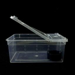 Terrário para répteis transparente caixa de plástico inseto réptil transporte de criação de alimentos vivos caixa de alimentação - Image 4