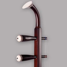 Cordas erhu pau-jacarandá chinês de alta qualidade, instrumentos musicais, 04as com caixa de arco, livro em inglês e conjunto completo de acessórios - Image 3