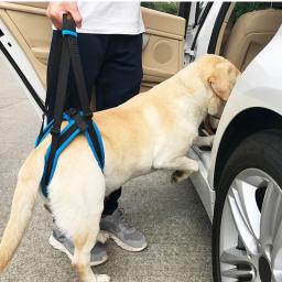 Arnês ajustável para elevação das costas e pés, suporte para animais de estimação, pernas fracas, ferramenta de ajuda para cães idosos - Image 1