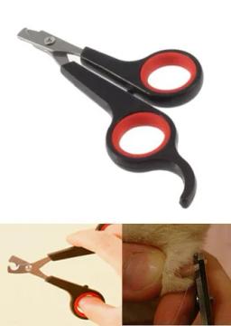12cm coelho unha do animal de estimação prego tesoura cortador gato garra toe ferramenta aparador clipper grooming pata animal gerbid pássaro papagaio tesoura - Image 3