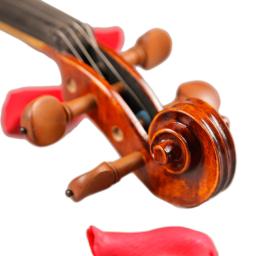 Anjo oito-violino profissional, 4/4, listras naturais, bordo, mestre, artesanato, violino instrumentos de corda com caso de arco - Image 4