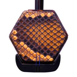 Chinês erhu instrumento de cordas folclóricas huqin strik muziek ébano cabeça do dragão instrumentos musicais música profissional acessórios erhu - Image 3