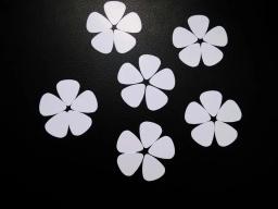 Palhetas, 10 peças, 0,71mm, acessórios musicais, branco - Image 3