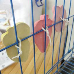 Cercado de coelho com dentes de coelho, pedra de moagem para animais pequenos, minerais para molares, pedra de morder, brinquedo para cachorro totoro - Image 3