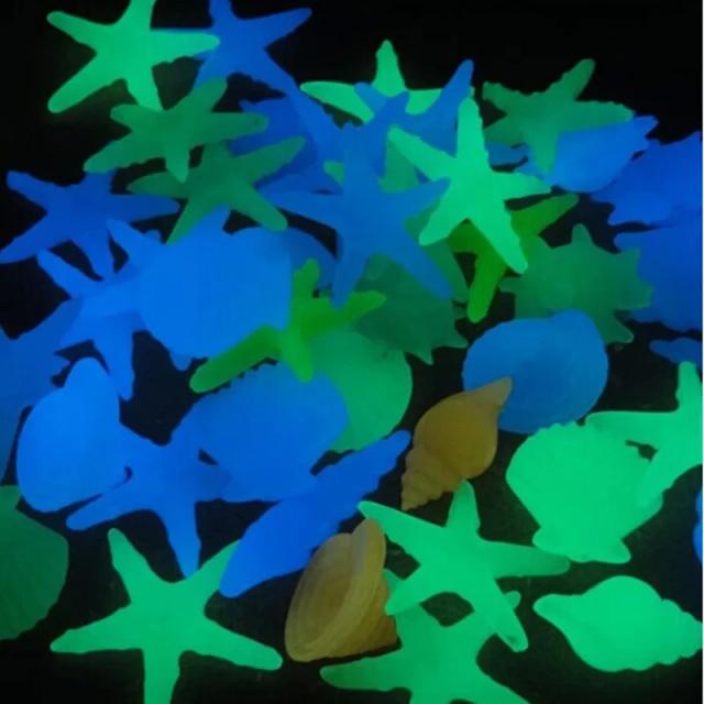 Conjunto de 20 Conchas Fluorescentes em Forma de Estrela do Mar para Decoração de Aquários e Artesanato DIY