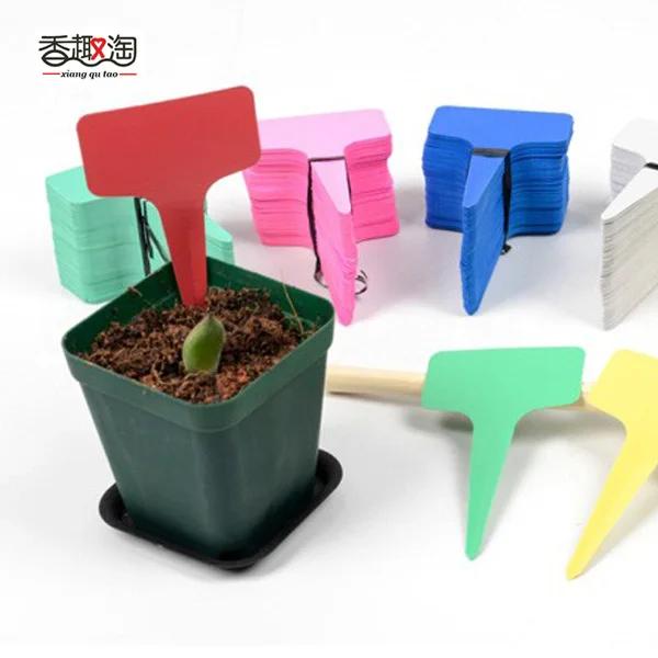 Etiquetas de Plástico para Jardim - Marcadores de Plantas 6x10cm em Pacote com 5 Peças