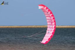 Dual Line Stunt Parachute para iniciantes, esportes divertidos ao ar livre, Beach Kite, poder, arco-íris - Image 5
