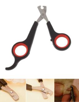 12cm coelho unha do animal de estimação prego tesoura cortador gato garra toe ferramenta aparador clipper grooming pata animal gerbid pássaro papagaio tesoura - Image 2