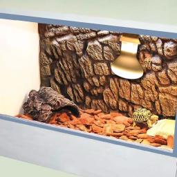 Lâmpada de aquecimento para répteis de animais de estimação, dia e noite, pássaro anfíbio, cobra, luz solar, 60w, 75w, 100w - Image 5