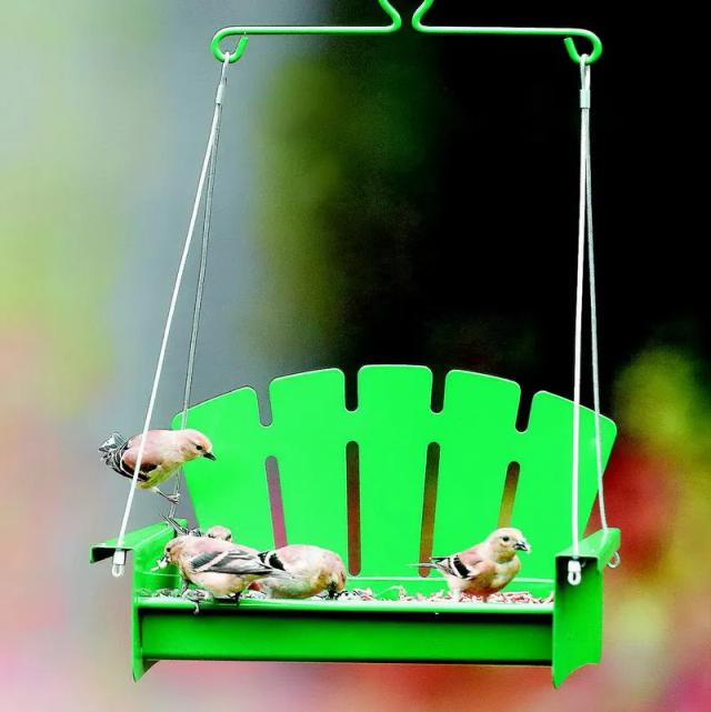 Alimentador de Aves Selvagens Estilo Europeu para Jardim: Recipiente Ideal para Alimentação ao Ar Livre