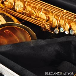 Alça para caixa de saxofone bB tenor Caixa rígida para saxofone bE estojo rígido para saxofone alto estojo para SAX de ombro com estrutura totalmente em alumínio Material ABS caixa rígida à prova d'água Bolsas Bb SAX à - Image 5