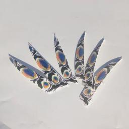 Pena de pavão para arco e flecha, escudo para arco e caça 20 peças - Image 4