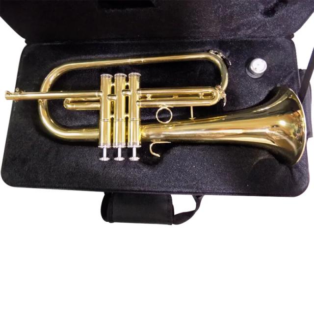 Flugelhorn Bb em Latão com Case e Bocal de Cobre - Acabamento em Verniz de Alta Qualidade