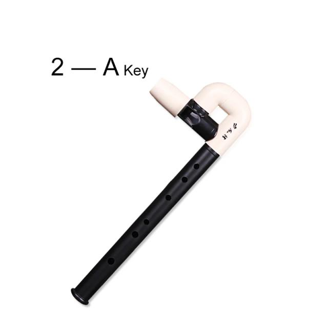 Resina para Clarinete com 6 Buracos Morph: Instrumento de Sopro Ideal para Iniciantes e Amantes da Música - Nova Chegada