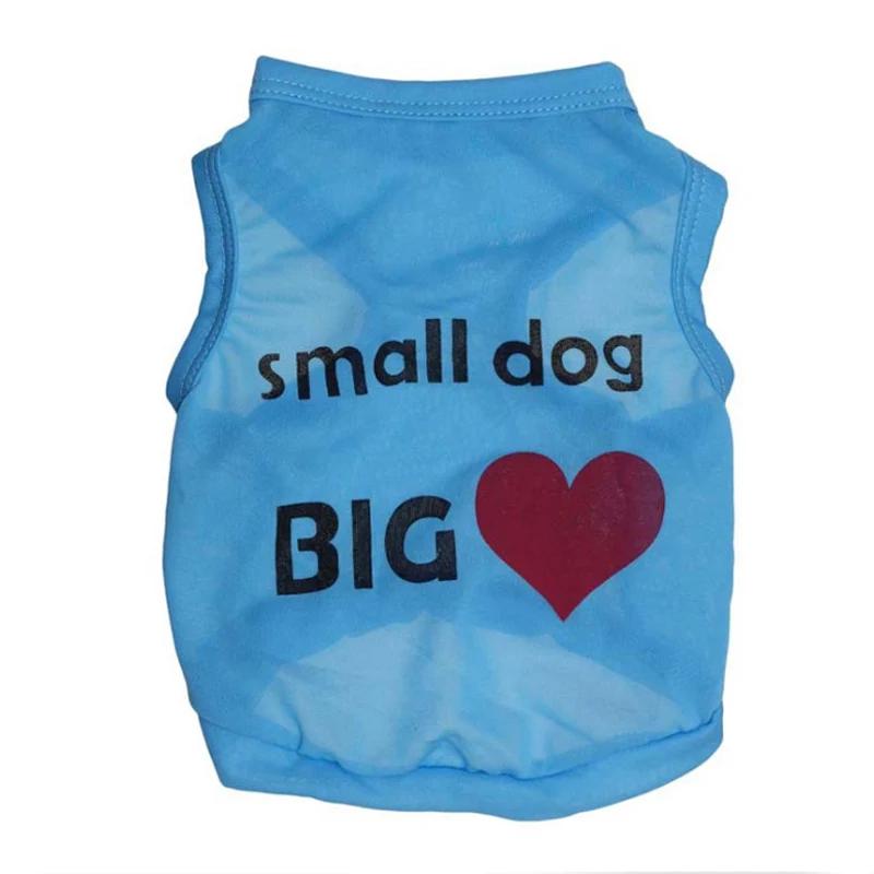 Roupas para gato de estimação, camisetas esportivas para gato, fantasia, roupas finas para cães pequenos, chihuahua, roupa filhotes legal para gatinho 40 - Image 1