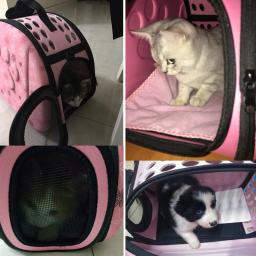 Bolsa transportadora para animais de estimação em 3 cores, dobrável, portátil, respirável, caixa de transporte para cães pequenos, filhotes, cachorros, bolsa de viagem - Image 6