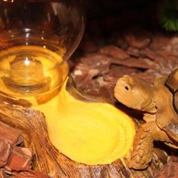 Répteis Anfíbios Automático Waterer Tartaruga Bacia Lagarto Tigela Alimentador De Água Fontes Bebendo Reptile Box Paisagismo Decoração - Image 6