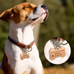 Etiqueta de identificação personalizada para cães e gatos, em aço inoxidável, personalizado, anti-perda, com nome e telefone, aniversário e gênero - Image 6