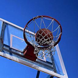 Rede de substituição para basquete, durável, robusto, aro de nylon - Image 6