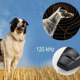 Lanlan 2 in1 cão de estimação filhote de cachorro gato treinamento clicker apito clique trainer obediência preto - Image 6