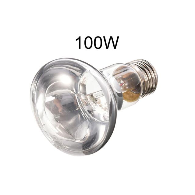 Lâmpada de Aquecimento para Répteis e Anfíbios - Iluminação Diurna e Noturna, 60W, 75W e 100W